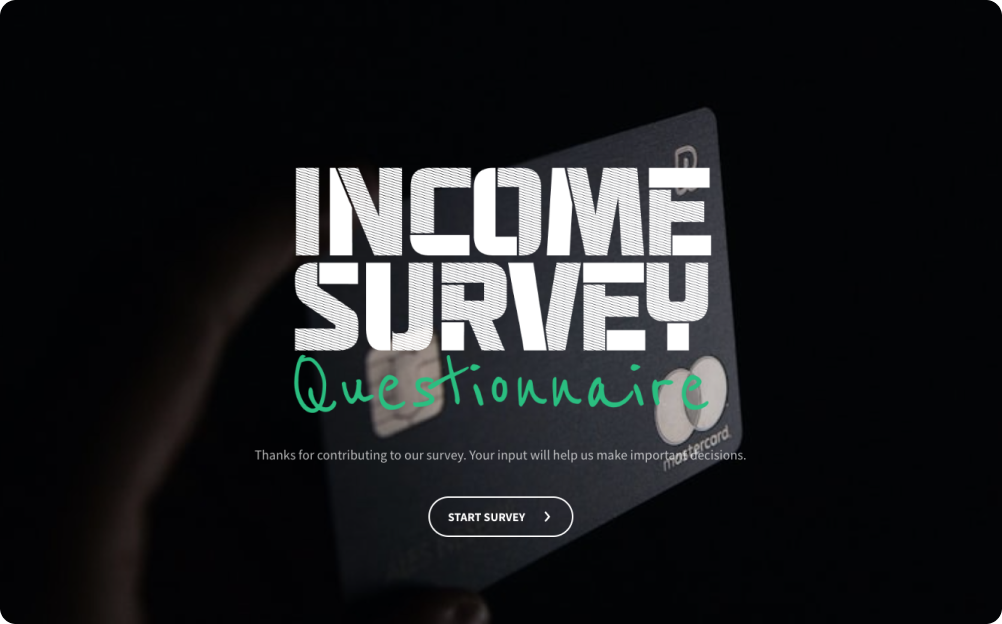 Income Survey Questionnaire