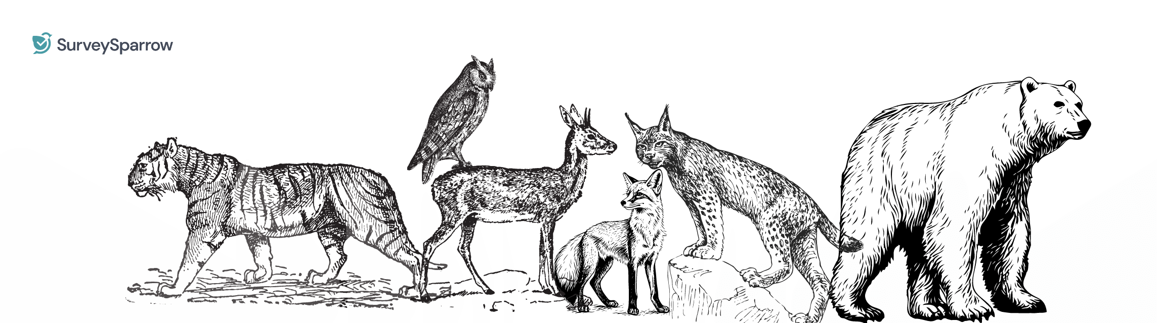 What's My Spirit Animal Quiz! Find Your Spirit Guide!